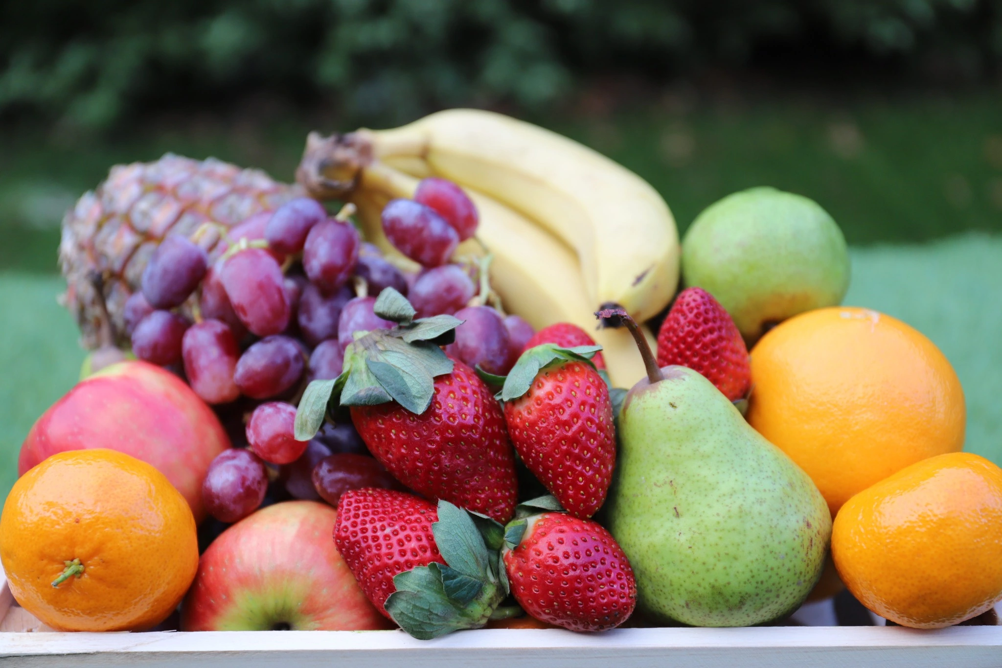 Social play toddlers at Little Wonders