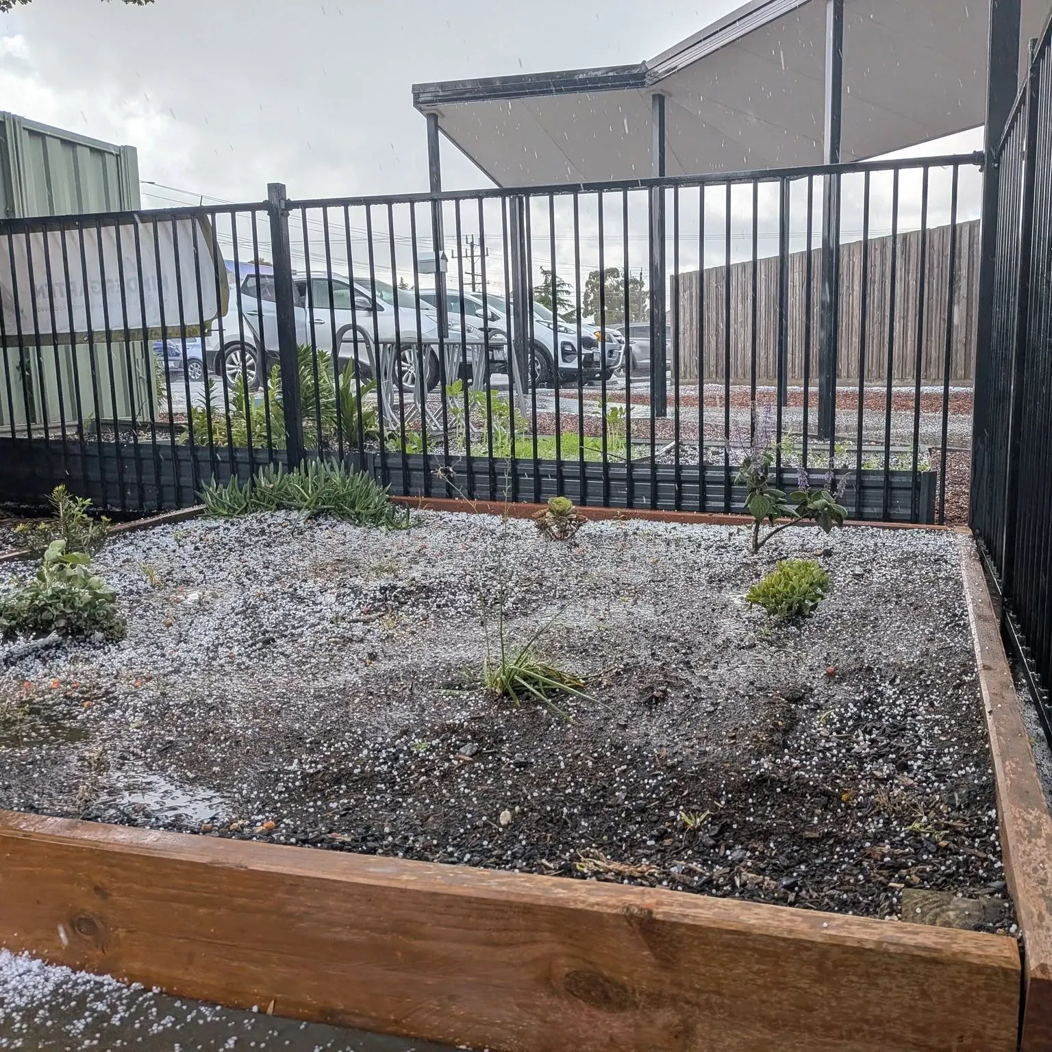 Social development kinder Little Wonders